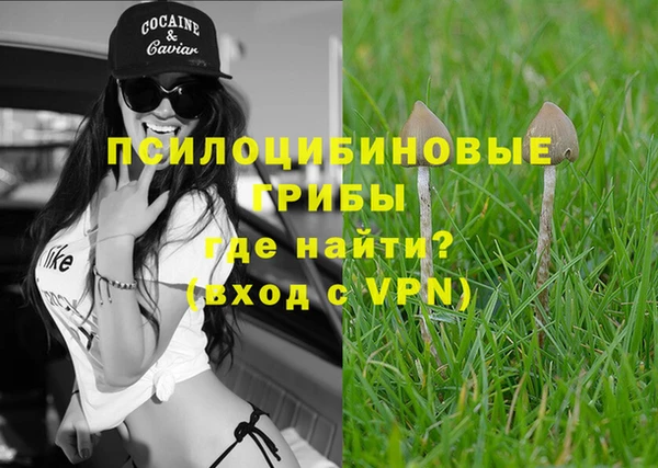 прущая мука Алексин